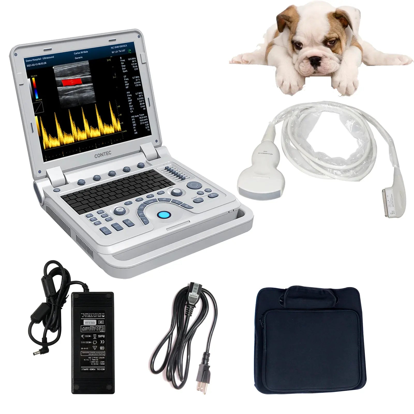 VET Veterinary Portable Ultrasound Scanner Laptop Machine Color Doppler For Pregnancy In Animals CJDropshipping